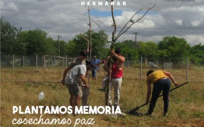 Camino al Parque Lineal – Reserva Ecológica: Biodiversidad, identidad y memoria.